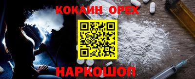 тгк Гай