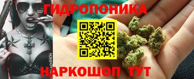 тгк Гай