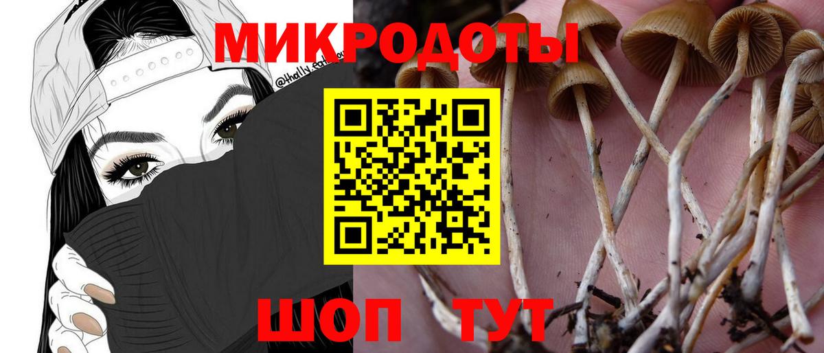 Галлюциногенные грибы GOLDEN TEACHER  где продают наркотики  Псилоцибиновые грибы Cubensis  Добрянка  Вход с VPN 